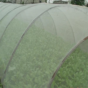 Customized size plastic net anti-insect net for protection crop anti insect mesh netting for fruit cover