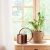 Import Decorative Copper Colored Watering Can - Easy Pour Gooseneck Spout for Fast and Easy Indoor Plant Watering from China