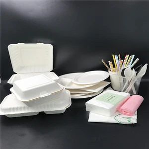 Direct selling 9inch sugarcane bagasse fast food dinner plate take out disposable biodegradable dinnerware+sets compostable