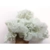 Dongguan recycled polyester staple