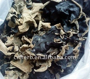 Dried edible black fungus