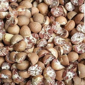 Dried Whole and Split Betel Nut - Indonesia Betel nut (Areca Nut)