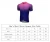Import Dropshipping Pro Team Sublimation transfer Blank bicycling mountain bike Clothing Summer Short Sleeve cycling jersey wear from China