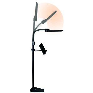 Dual Shade LED Floor Lamp with USB Charging Station, Black