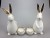 Import Easter Ceramic  Shining White Lovely Rabbit Standing near bowel  Figurines for Garden Decor from China