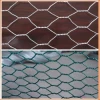 Economic Reliable fine chicken wire/ galvanised hexagonal wire mesh wholesale price