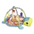 Import Educational Toy Ocean Ball Tortoise Activity Baby Play Mat from China