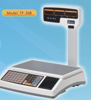 electronic cash register scale