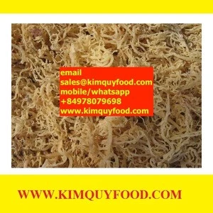 EUCHEUMA SPINOSUM SEAWEED from kimquyfood.com - Seaweed for food industry - IRISH SEA MOSS SEAWEED/ EUCHEUMA SPINOSUM