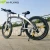 Import Europe Warehouse Electric Bicycle 26inch Integrated Wheel Mountain Bike 36V 250W Adult Folding Electric Bicycle from China