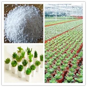 Expanded Perlite white pure