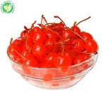 Export price fresh fruit cherry canned for sale