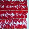 Export to USA red and green Dried hot chilli pepper