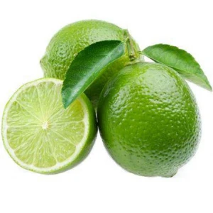 Exported Quality Fresh Lemon (Fresh Citrus Fruit) Thailand seedless lemon concentrate