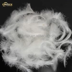 Factory 2-4cm/4-6cm white goose down feathers for filling