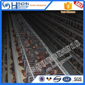 Factory A type layer chicken cage products from China