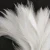 Import Factory direct sale white 6-8inch Cock/Rooster hackle Feather strung from China