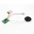 Import Factory directly magnetic switch custom recordable music sound module chips from China