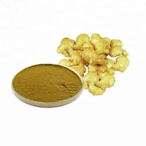Factory Supply Top quality Organic water soluble Ginger Root extract