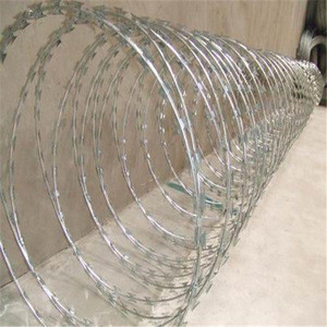 Buy Fake Plastic Razor Barbed Wire from Hebei Rongzitai Metal Wire ...
