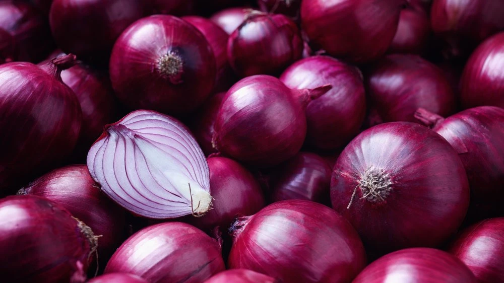 Farm Fresh Onion Red High Quality graded from Pakistan