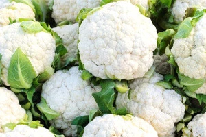 FDA Approved Frozen Cauliflower