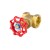 Import Female threaded forged brass water gas gate valve from China