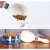 Import Free Shipping Pet electronic measuring spoon dog food weighing spoon new cat food scale rabbit hamster food weighing from China