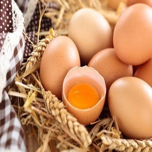 Fresh Chicken Eggs (White or Brown)