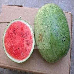 Fresh Fruits Water Melons No chemical
