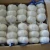 Import fresh garlic and ginger fresh garlic importer normal white pure white garlic price in china from China