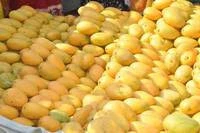 Fresh Mangoes