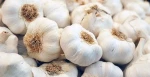 Fresh Normal White garlic/ pure white garlic/ Export Quality