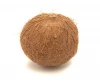 Fresh organic Coconuts