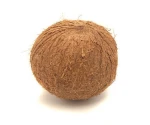 Fresh organic Coconuts
