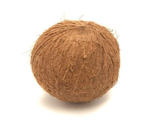 Fresh organic Coconuts