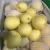 Import Fresh pear ya pear, golden pear from China