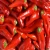 Import Fresh SHIZHUHONG No.3 Dry Hot Chili Special Hot Pepper La Jiao Super Spicy Pepper of China Agriculture Products for sale from Philippines
