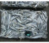 Frozen high quality seafood Anchovy