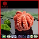Frozen Octopus
