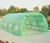 Import garden polytunnel tunnel greenhouse from China
