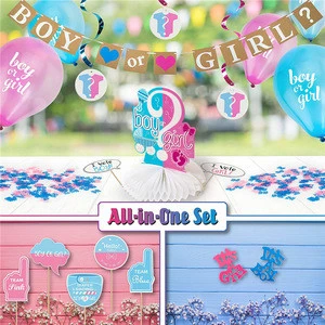 Gender Reveal Party Decoration Supplies Baby Shower Pregnancy Announcement Kit Boy or Girl Favors Set