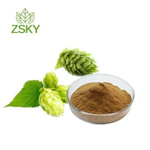 GMP Factory Supply Natural Xanthohumol/Hops Flower Extract/Humulus Lupulus Extract