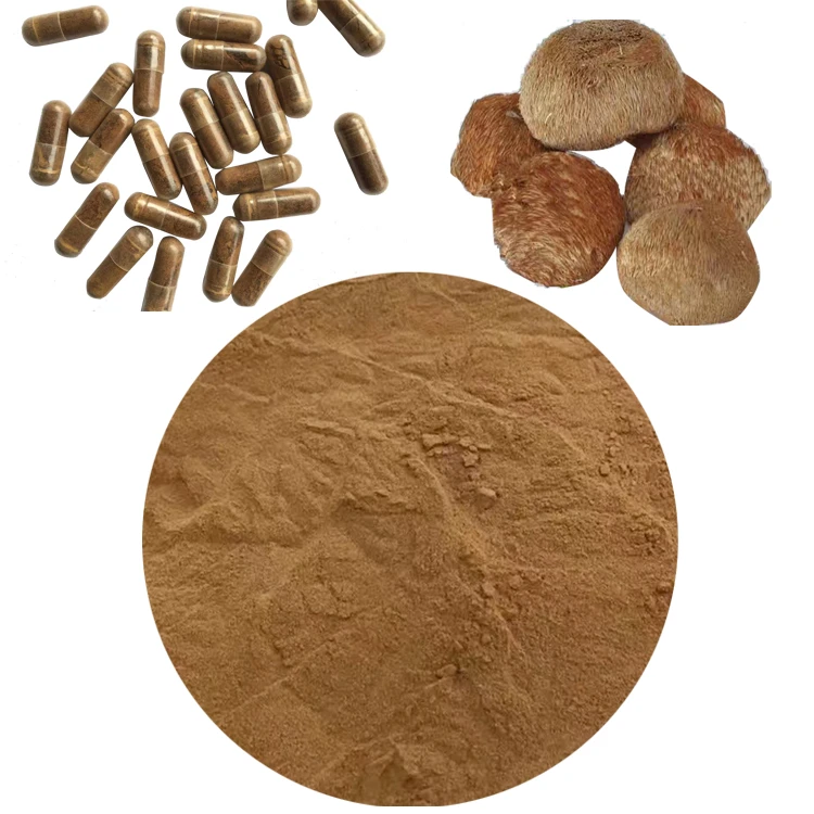 GMP Kosher Natural Hericium erinaceus Extract 30% polysaccharides Lion&#39;s Mane Mushroom Extract powder