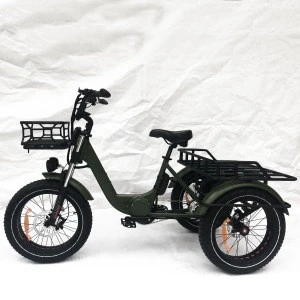 good quality 20inch 1000w electric fat tyre  tricycle 500w adult mid motor double battery electric bike
