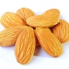 Good quality Almond Nuts/Almond Without Shell/Almond Kernels