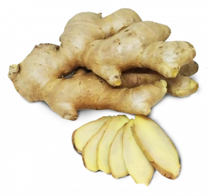Good Quality Wholesale Price from Thailand Exporters Fresh Ginger