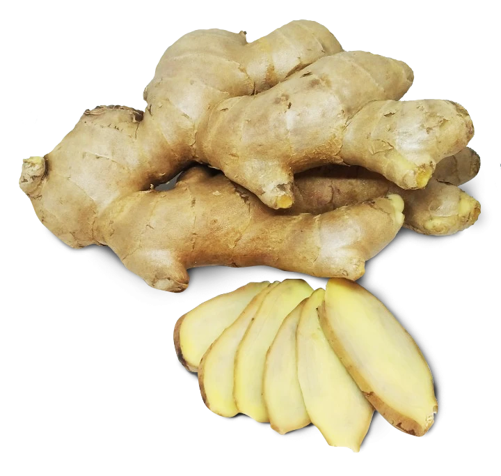 Good Quality Wholesale Price from Thailand Exporters Fresh Ginger