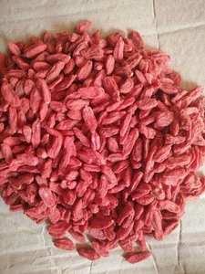 Gou Ji wolfberry friut Chinese medical herbs crude medicine