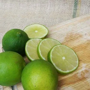 Green lemon/ Fresh lime/ fresh lemon seedless for sale